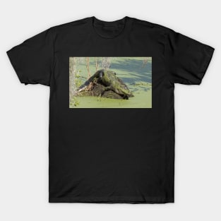 Alligator covered in Duckweed T-Shirt